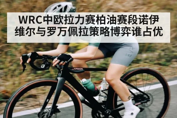 WRC中欧拉力赛柏油赛段诺伊维尔与罗万佩拉策略博弈谁占优 | kaiyun